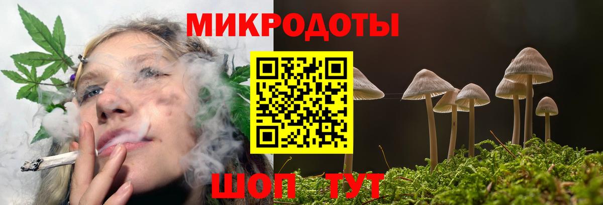 Галлюциногенные грибы Psilocybe  Псилоцибиновые грибы GOLDEN TEACHER  Вход с VPN  Гусиноозёрск 