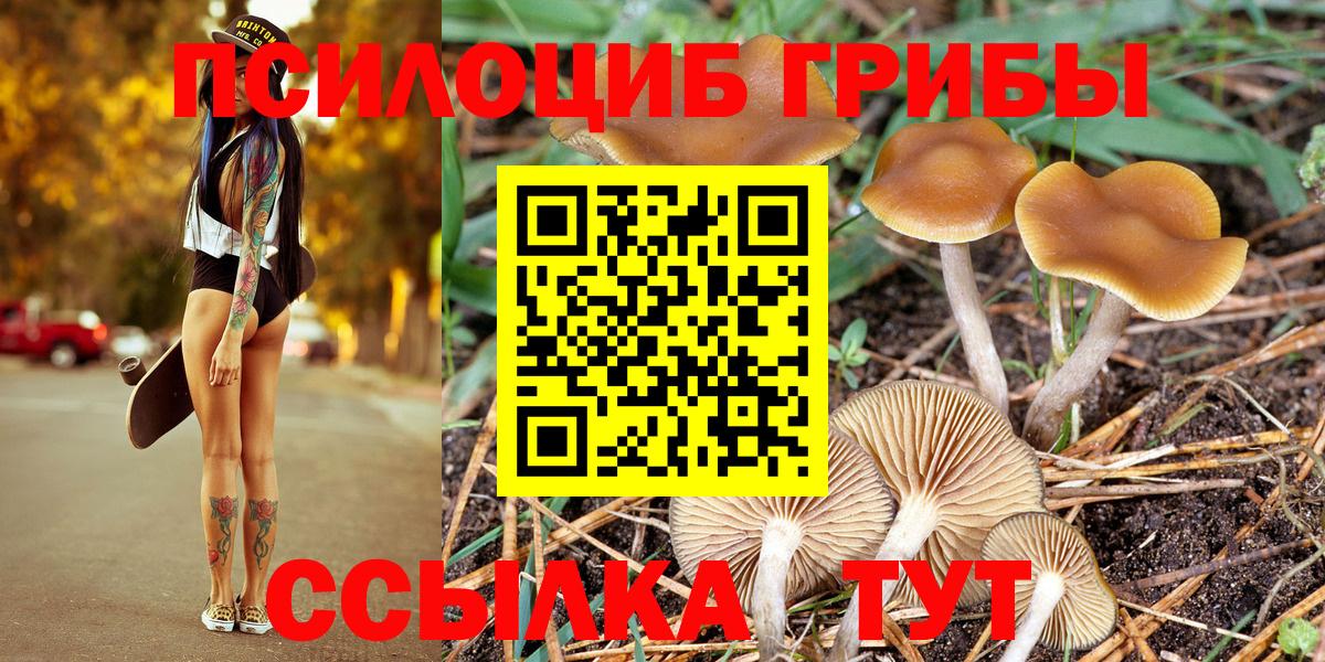 Псилоцибиновые грибы GOLDEN TEACHER Гусиноозёрск