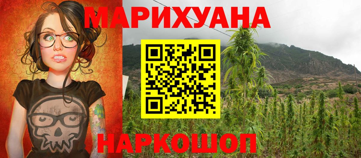 Конопля OG Kush Гусиноозёрск